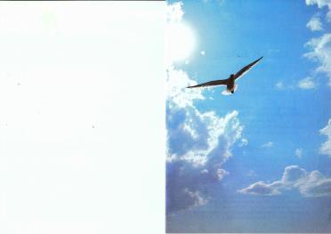 BEER-DE-Jacobus-Hercules-1920-2003-M-01