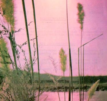 ELS-Jan-Christoffel-1928-1978-M