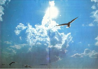 FOURIE-Hermanus-Nicolaas-Nn-Herman-1929-1992-M-01