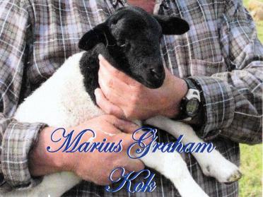 KOK-Marius-Graham-Nn-Marius-1964-2013-M_02