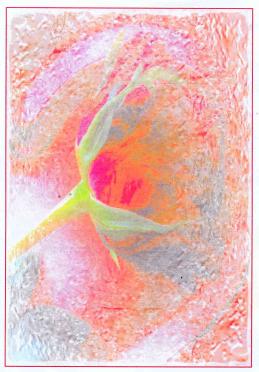 OLIVIER-Esther-Jureen-Nn-OuLady-nee-Rudman-1939-2009-F_94