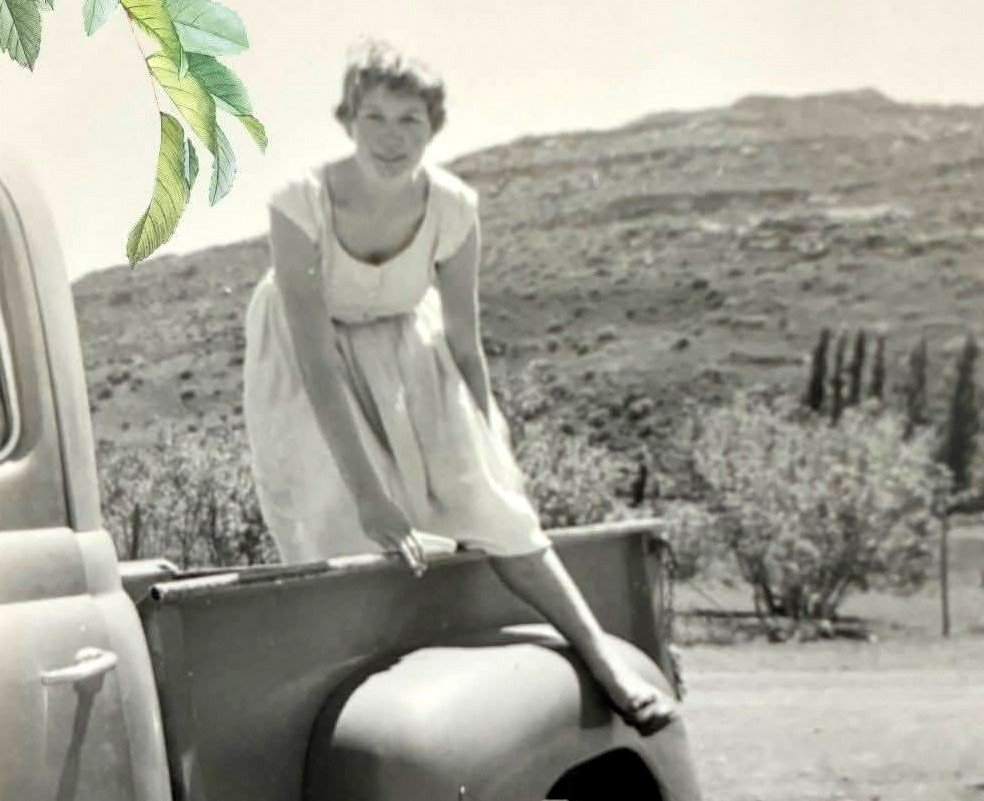 PIETERSE-Rentia-1936-2026-F_02