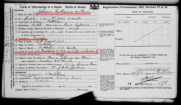 PLESSIS-DU-Johanna-Catharina-Nn-Johanna-1875-1918-F-04
