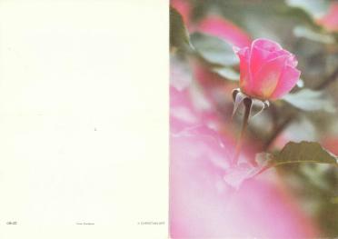 STEYN-Natasha-1988-1991-F-01
