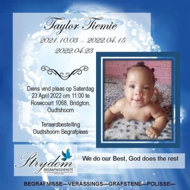 TIEMIE-Surnames-Vanne