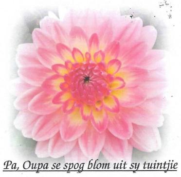 VERMAAK-Gerthardus-1926-2020-M_97